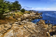 Monterey_11