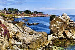 Monterey_12