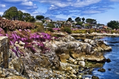 Monterey_2