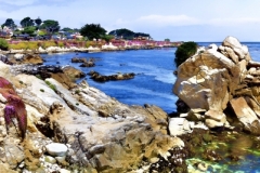 Monterey_2_2