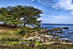 Monterey_5