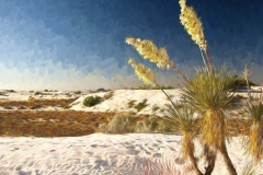 whitesands_4