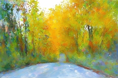 Autumn Road #2