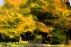 Fall Road