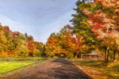 Fall Road #2