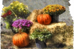 Fall Still Life #2