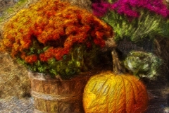 Fall Still Life #3