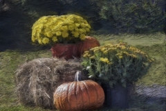 Fall Still Life #4