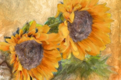 Sunflower_06