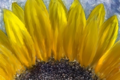 Sunflower_12