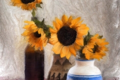 Sunflower_2